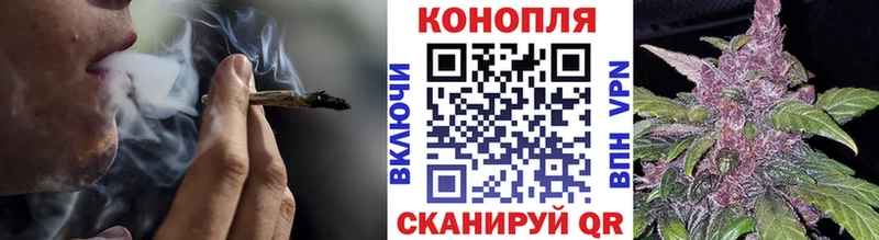 Шишки марихуана конопля  наркота  Макаров 